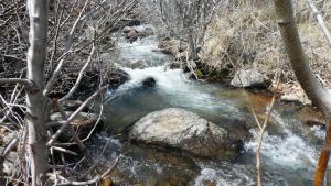Lower Hunter Creek and Steamboat Ditch Apr 16 2018